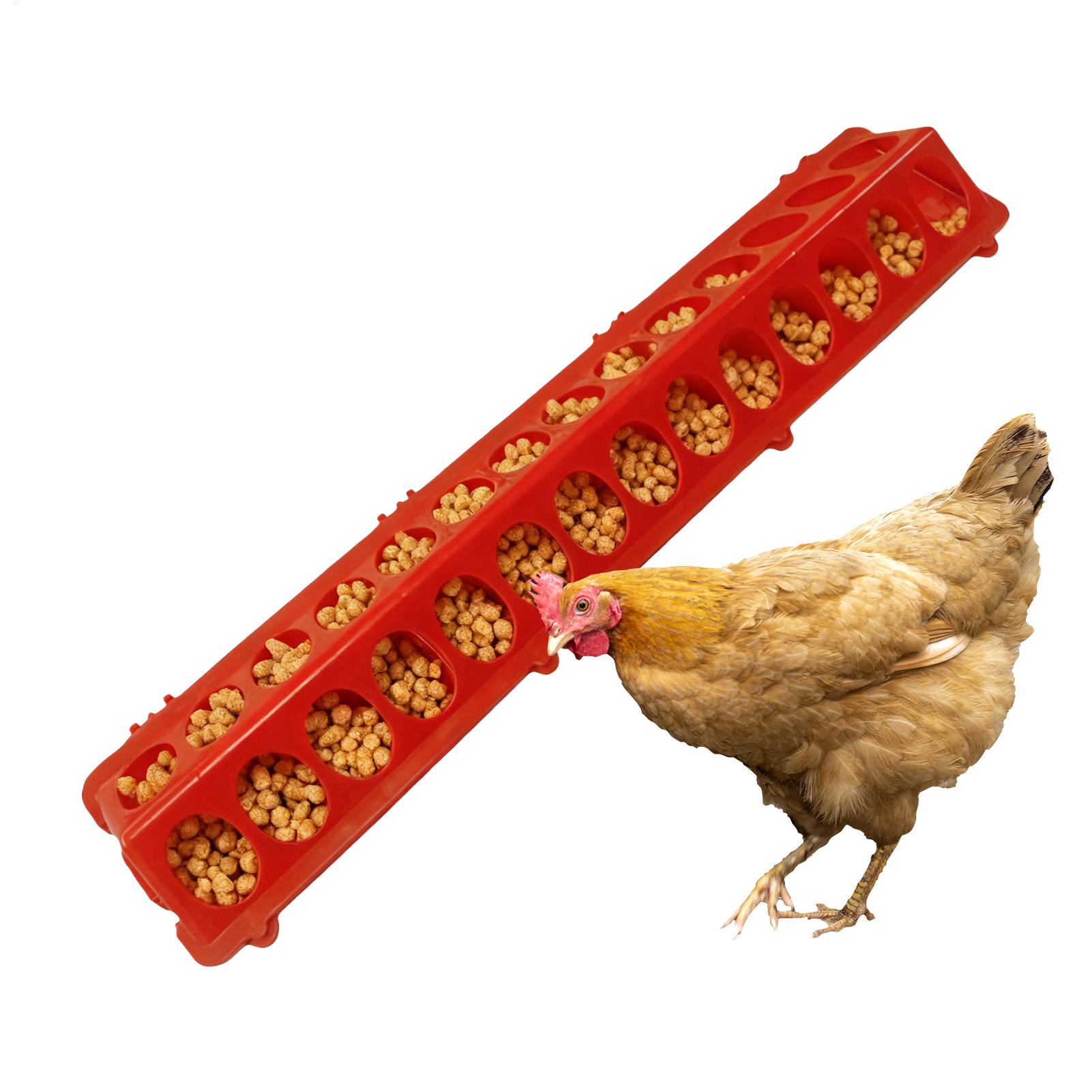 Baby Food With Chicken - Taubenfutterautomat mit 28 Löchern, großes Fassungsvermögen,