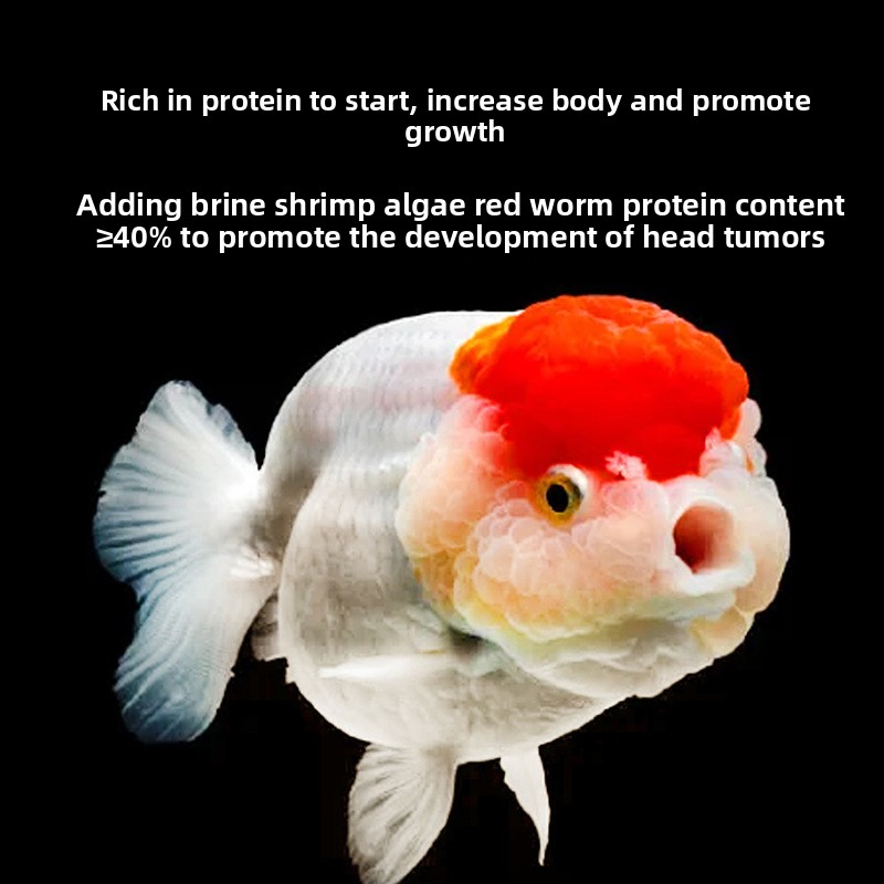 Fischbaby sinkendes Goldfischf – Baby Food High In Protein Bewertung und Preis