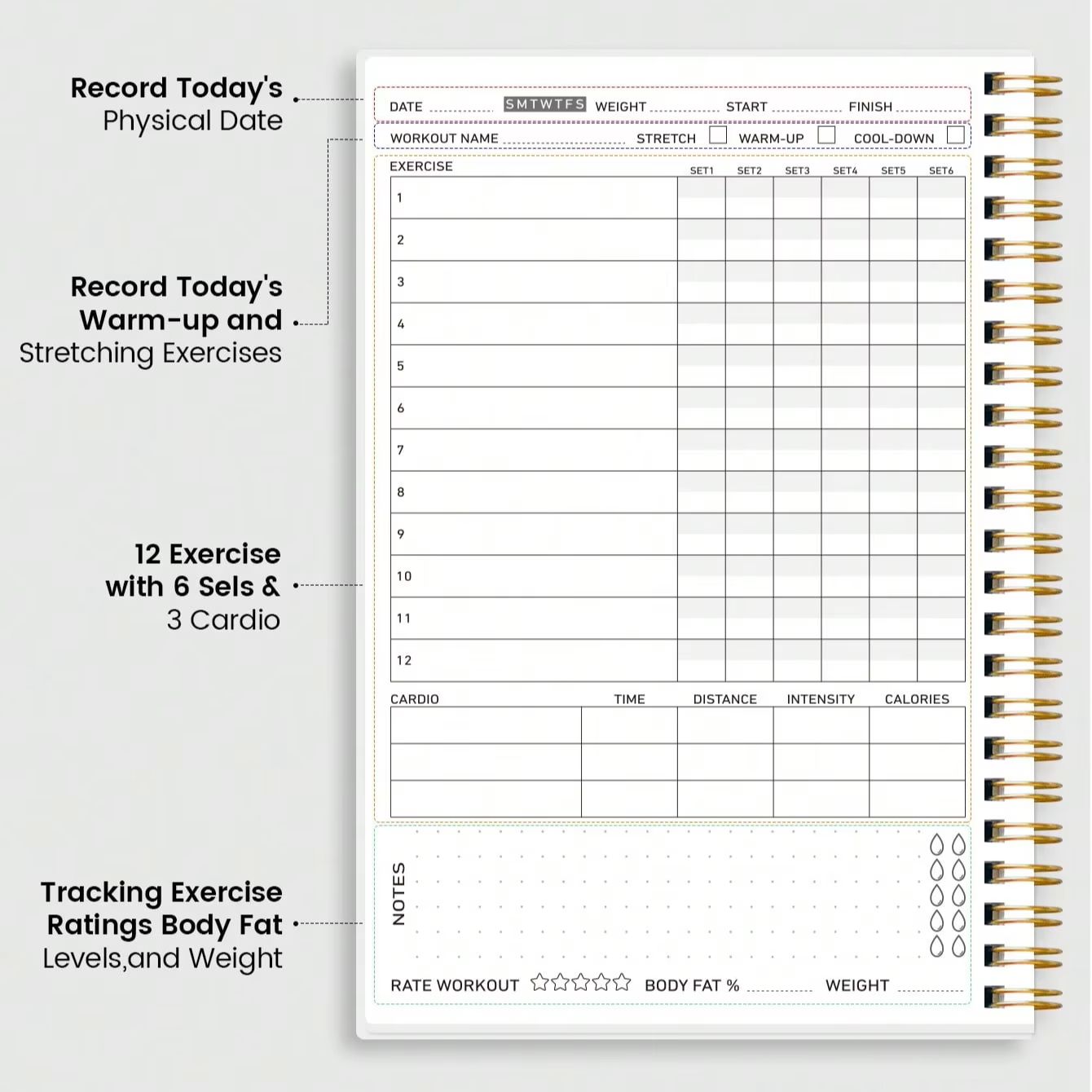 Fitness-Planer Workout-Journal – Baby Food List Bewertung und Preis