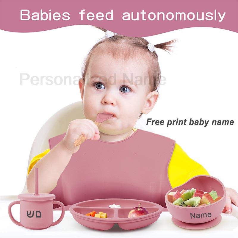 6Pcs Baby Fütterung Set Kosten – Silicone Suction Bowl Bewertung und Preis
