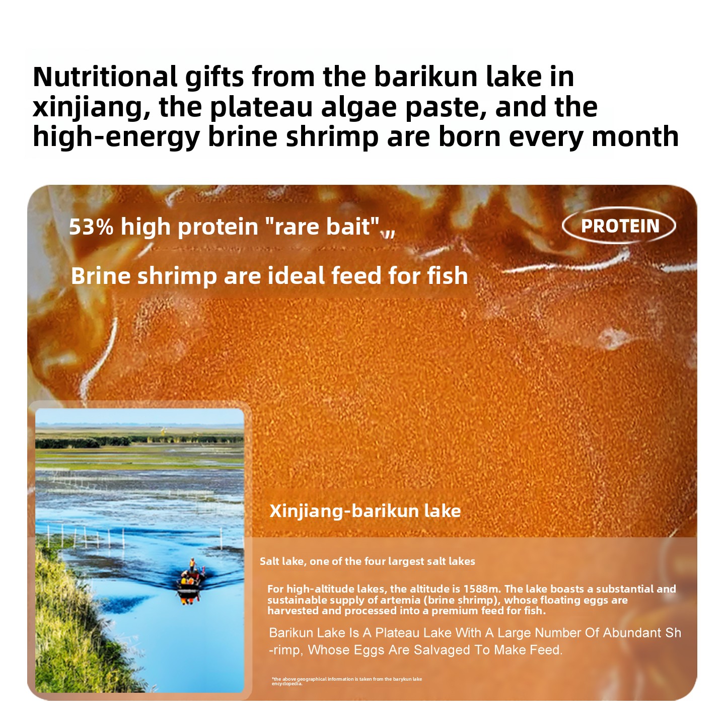 SANKii entkapselte Sole-Garnel – Baby Food High In Protein Bewertung und Preis
