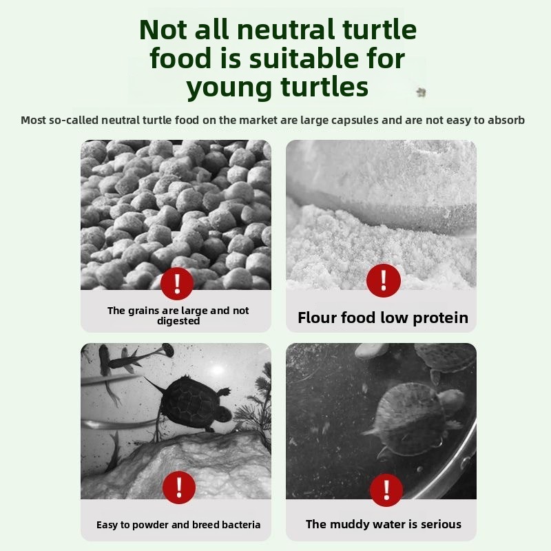 Nai chong Hatchling Turtle Foo – Baby Food High In Protein Bewertung und Preis