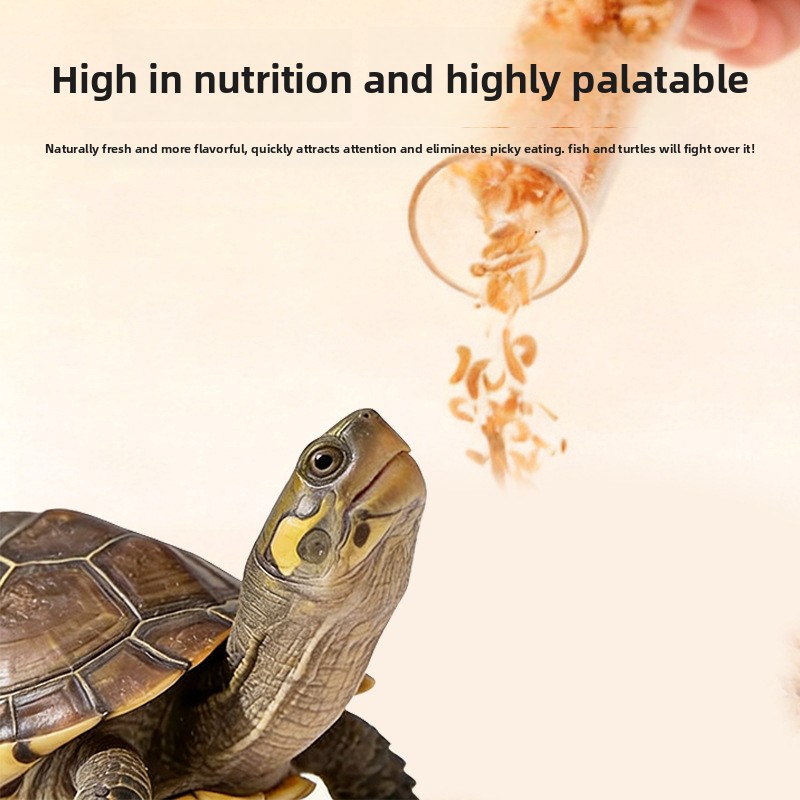 Naichong Gefriergetrockneter A – Baby Food High In Protein Bewertung und Preis