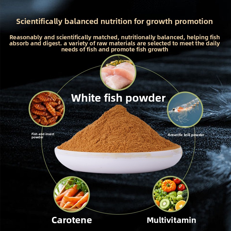 Zhipin Baby-Fisch-Bratfutter,  – Baby Food High In Protein Bewertung und Preis