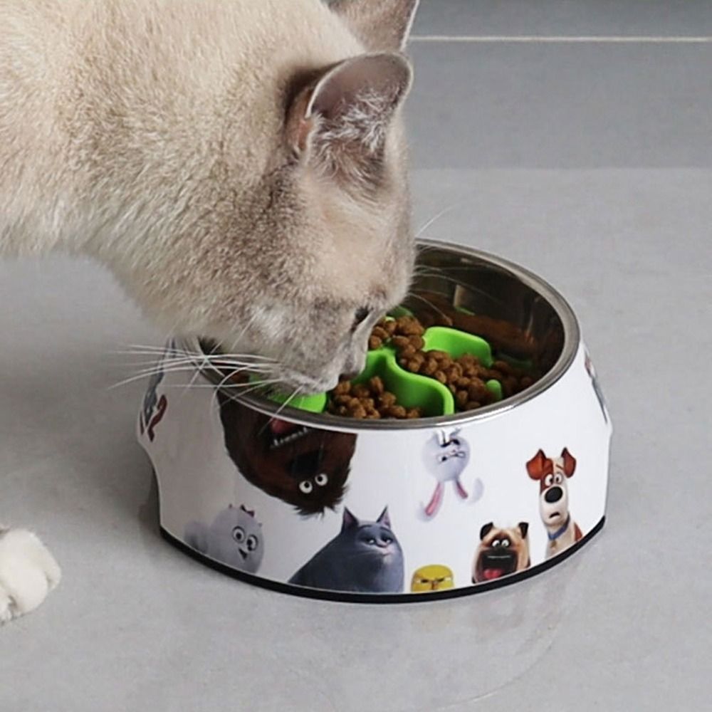 Neue Slow Feeder-Einsätze aus  – Silicone Suction Bowl Bewertung und Preis