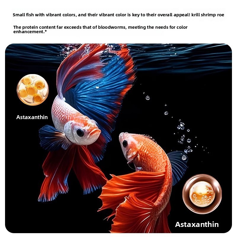 Yee Krill & Baby Shrimp Trocke – Baby Food High In Protein Bewertung und Preis